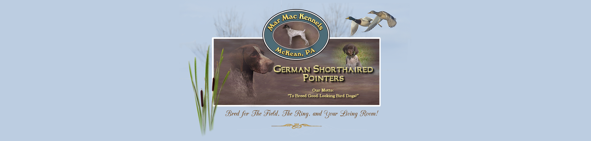 Mar Mac Kennels Header